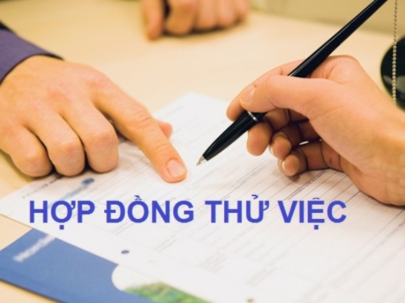 Mẫu hợp đồng thử việc mới nhất 2023