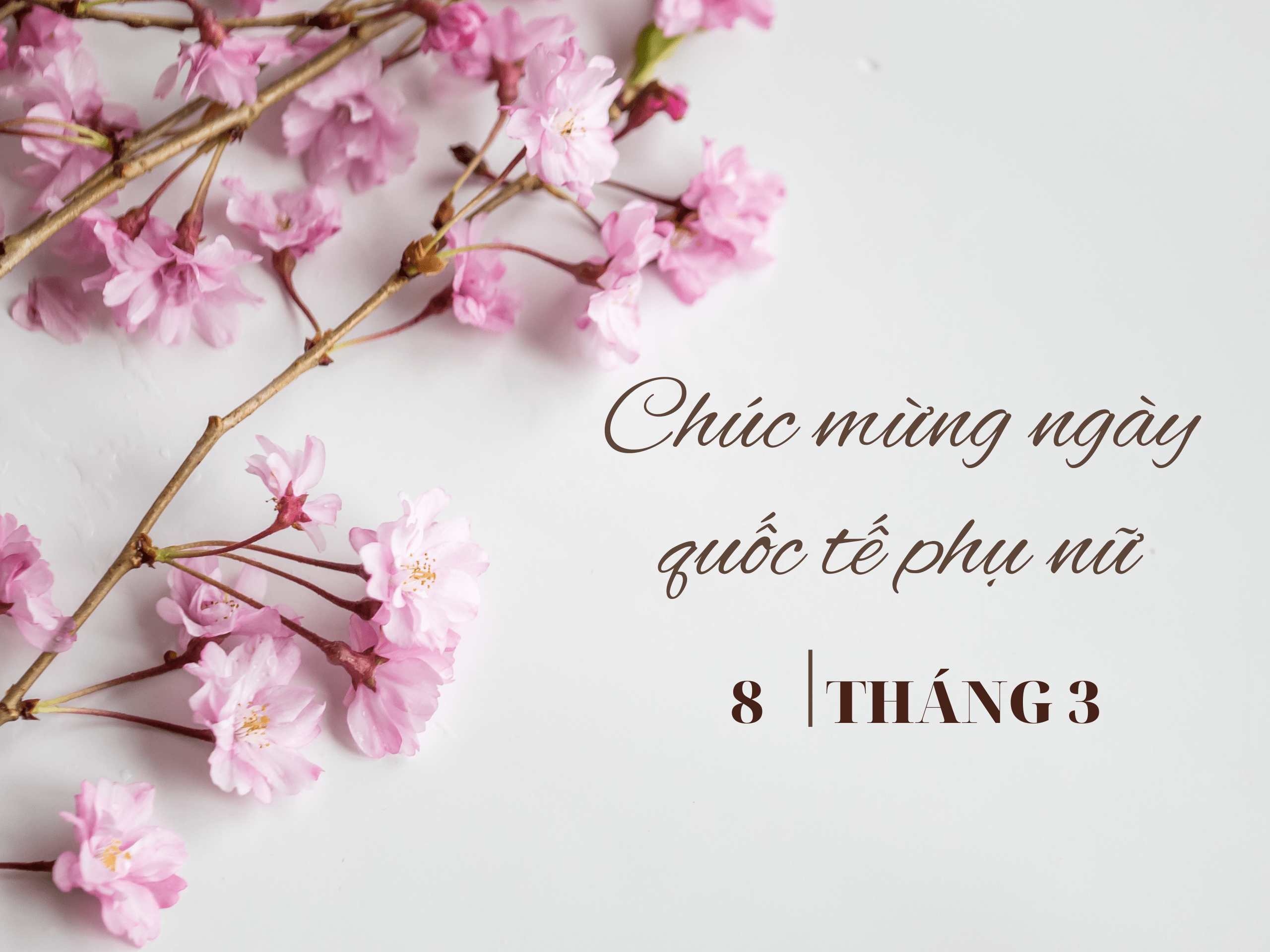 Mẫu lời chúc mừng ngày 8/3 dành tặng cho khách hàng năm 2023