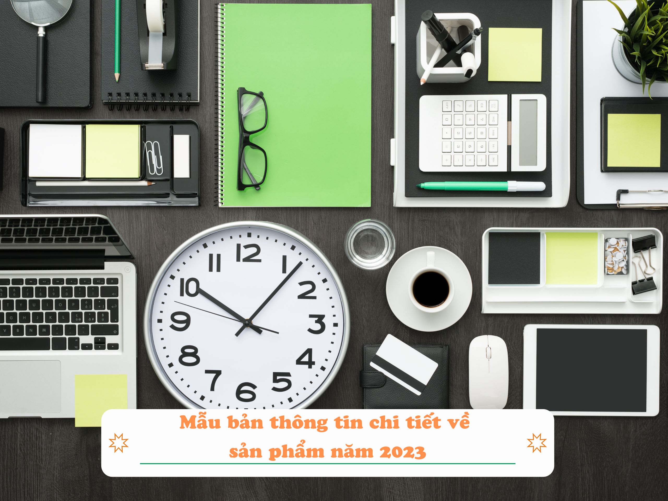 Mẫu bản thông tin chi tiết sản phẩm năm 2023